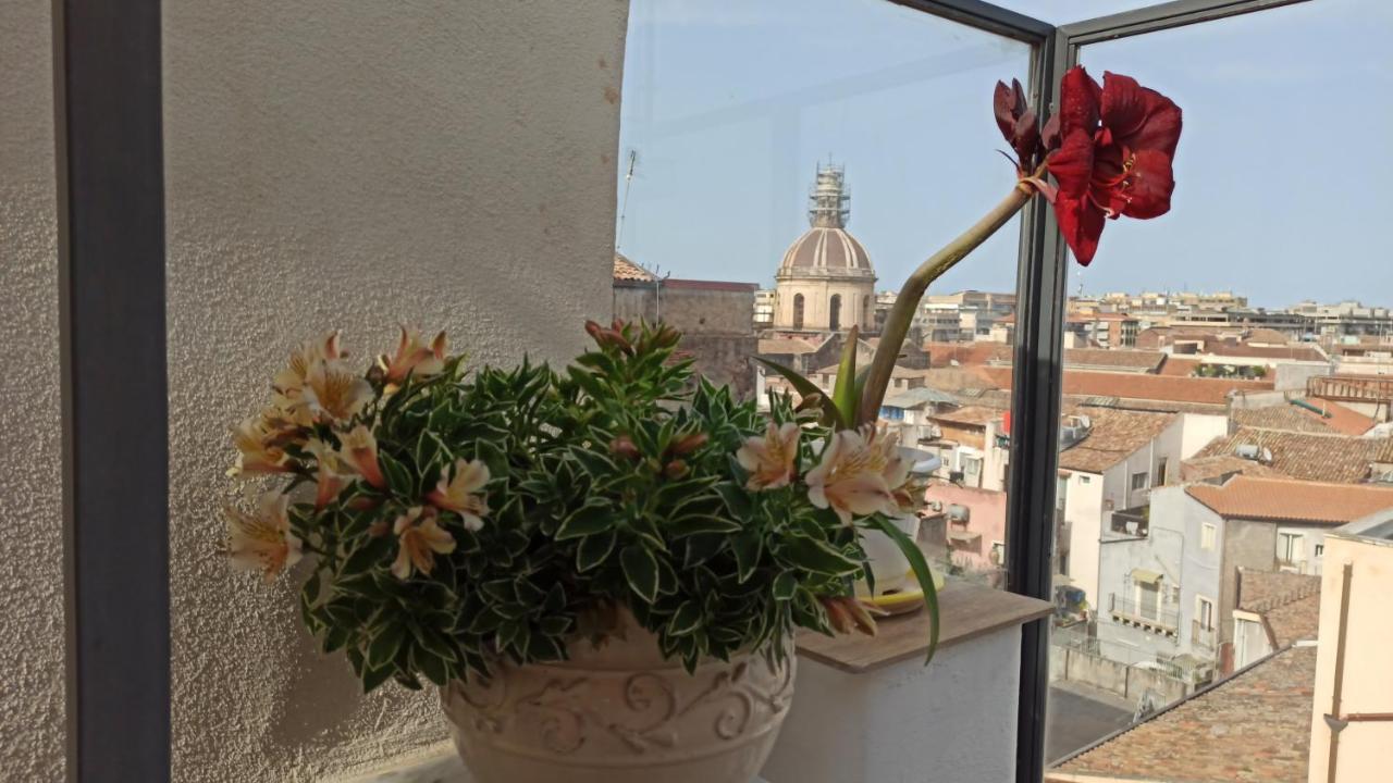 Sogno Etneo Bed & Breakfast Catania Exterior photo